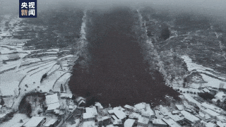 1706149558781983.gif 640.gif