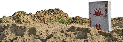 天空城市：梦想踏进现实？