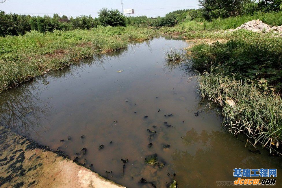 新办公旁边森林公园排水问题一直没有解决，成了远近闻名的臭水沟
