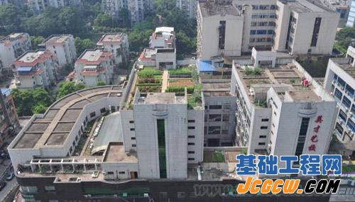 长沙一高楼楼顶现&ldquo;空中菜园&rdquo;