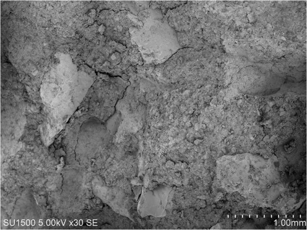 铅离子在无侧限高压实膨润土-砂混合物中的运移