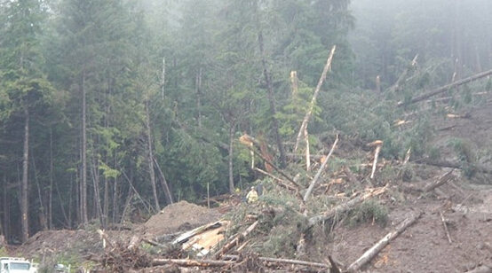 美阿拉斯加滨海小镇强降雨导致山体滑坡 4人失踪