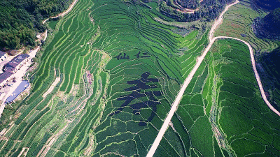 微信图片_20180531085240