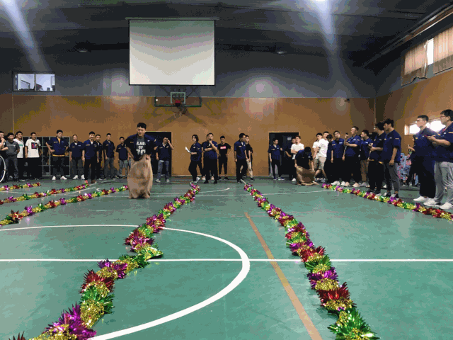 微信图片_20200806083647