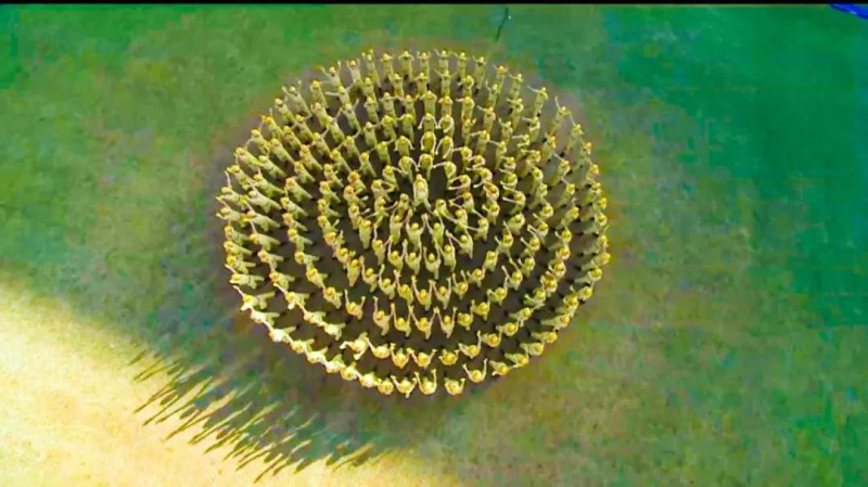 微信图片_20201027092316