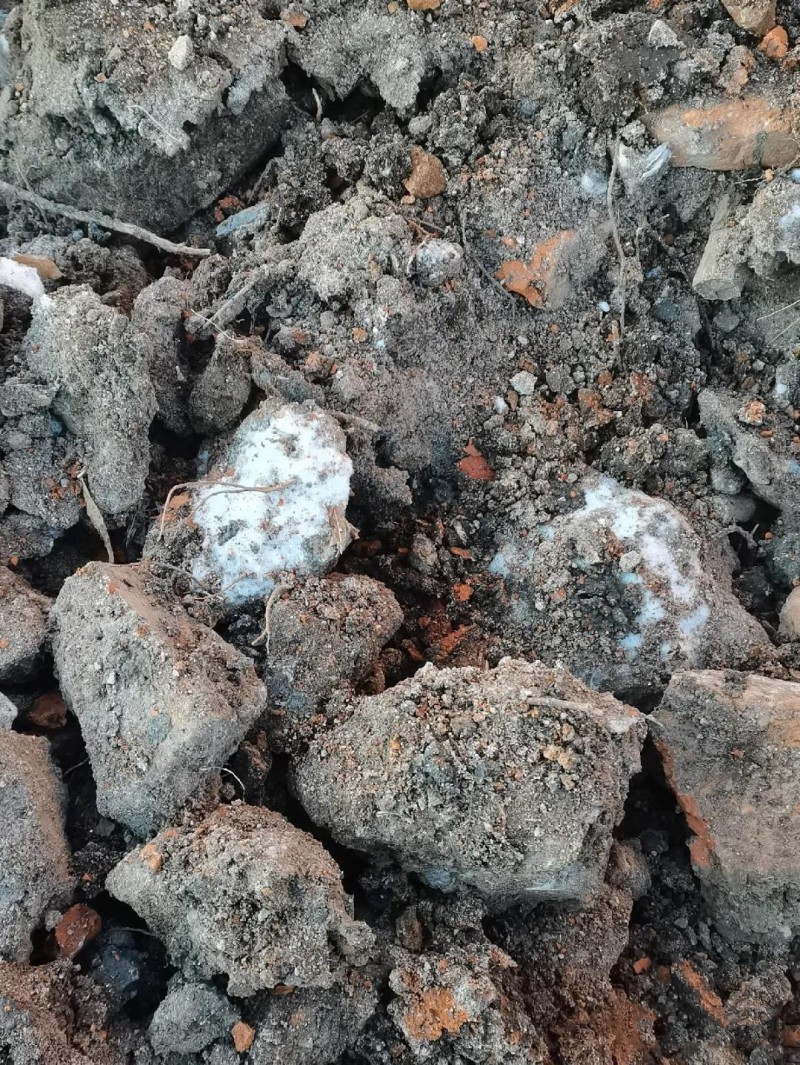 微信图片_20201222090034