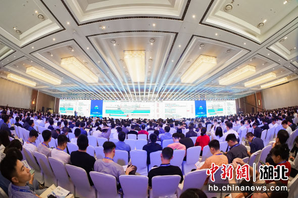 大会现场 大会现场